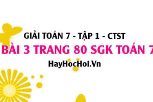 Giải bài 3 trang 80 Toán 7 Tập 1 SGK Chân trời sáng tạo